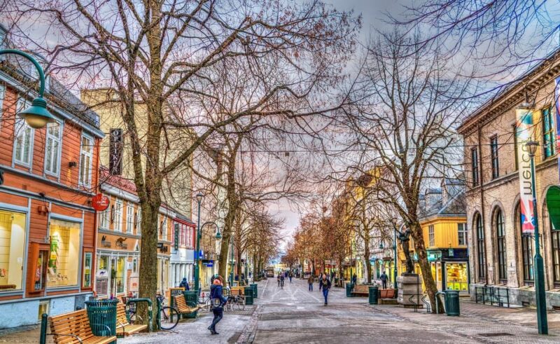 Trondheim Private Guided Walking Tour - Meeting Point and Duration