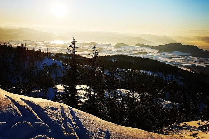 Trondheim Small-Group Cross-Country Skiing Adventure - Discover Norwegian Cross-Country Skiing Culture