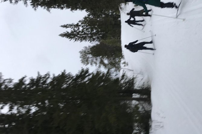 Trondheim Small-Group Cross-Country Skiing Adventure - Savor Traditional Norwegian Snacks