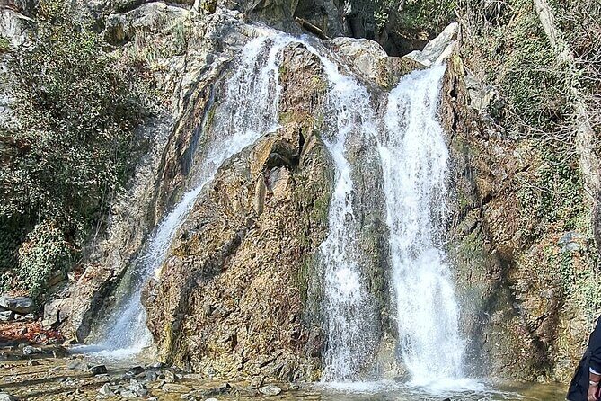 Troodos Mountains Jeep Tour with Wine Tasting - An In-Depth Look at the Experience