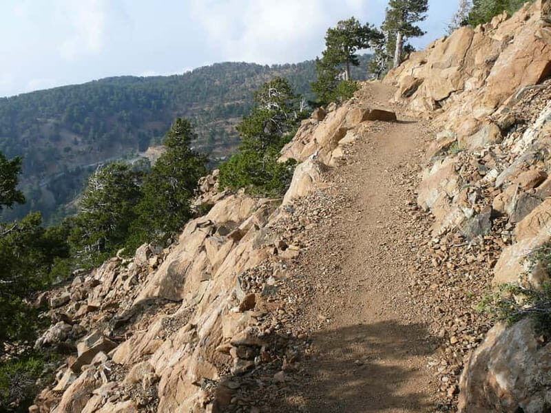 Troodos walking trip - What to expect on the day