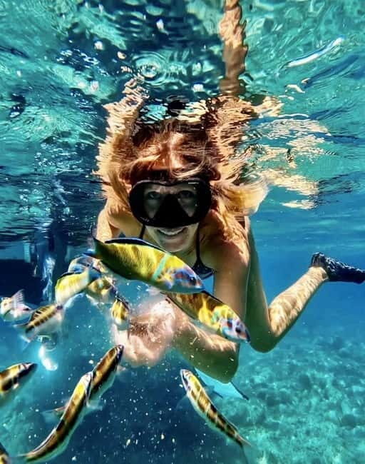 Tropea: Boat Tour on the Coast of the Gods - maximum 12 people on board - Practical Details