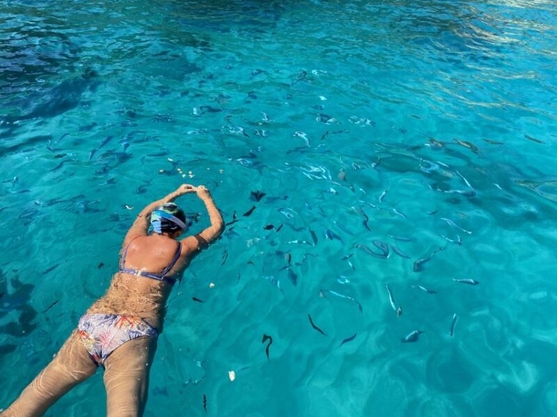 Tropea: Capo Vaticano Boat Trip With Snorkeling & Drink - Customer Reviews and Ratings