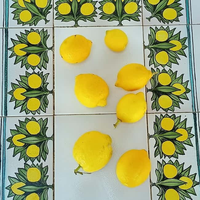 Tropea: Lemon Experience with Limoncello Making - Discovering Tropea’s Lemon Heritage: A Deep Dive into the Experience