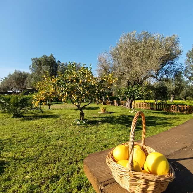 Tropea: Lemon Experience with Limoncello Making - Final Thoughts