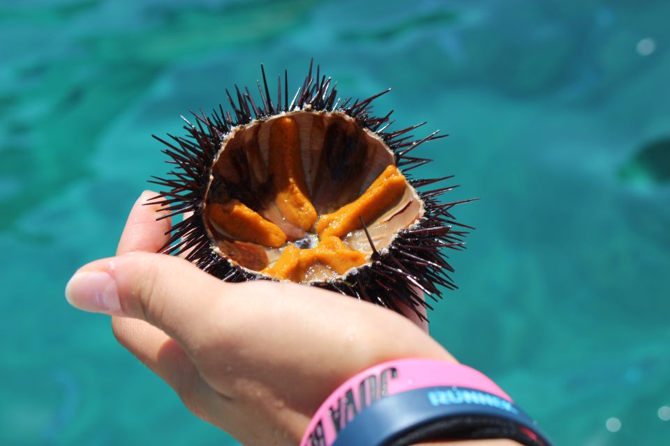 Tropea: Private Boat Rental With Skipper and Snacks - Cruise Along the Coast