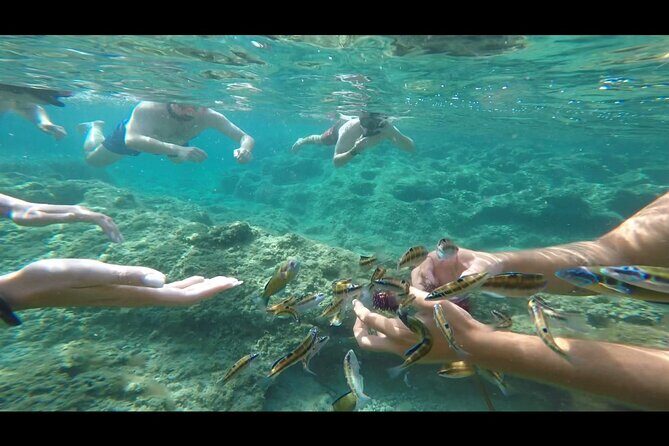 Tropea private boat tour - Who Should Consider This Tour?