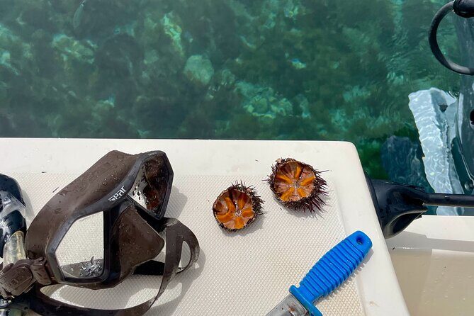 Tropea private boat tour - The Sum Up