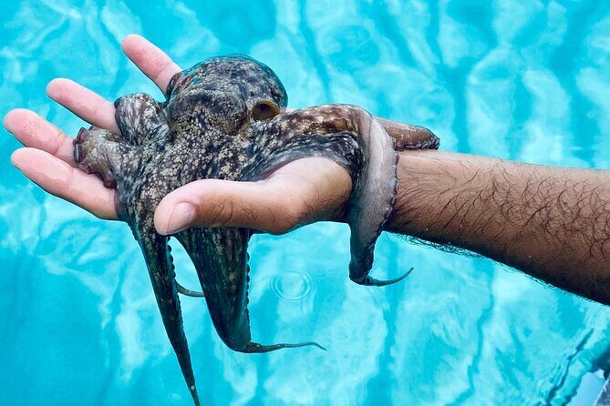 Tropea - Santa Domenica - Capo Vaticano - What Could Be Better