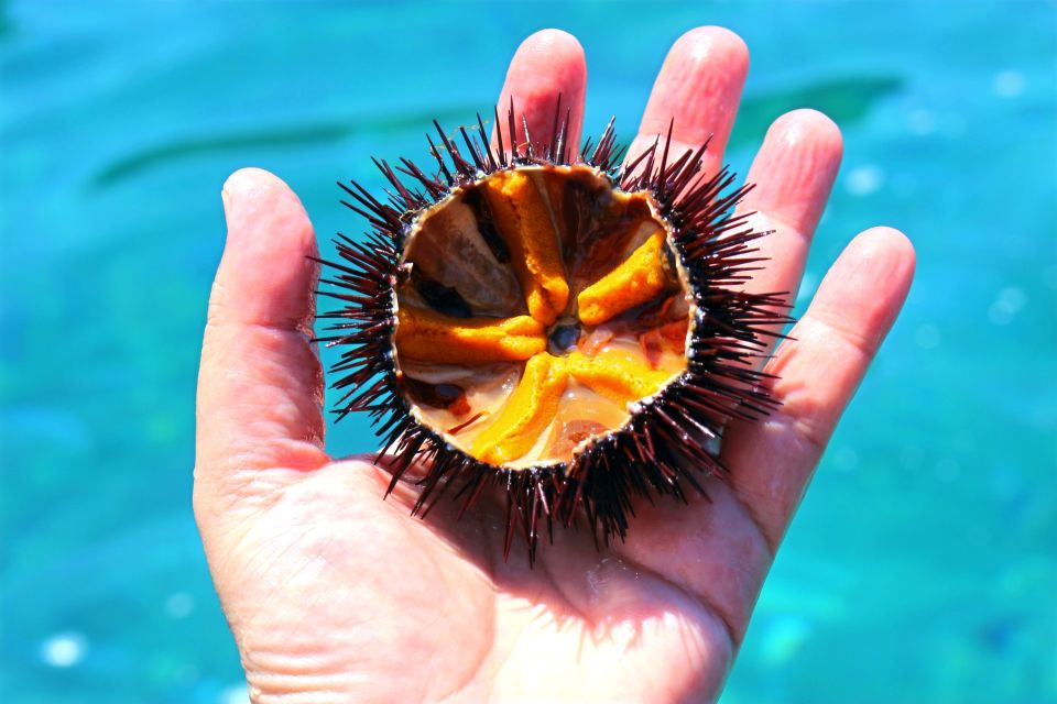 Tropea: Sirens' Rock Snorkeling Cruise With Aperitif - Local Legends and History