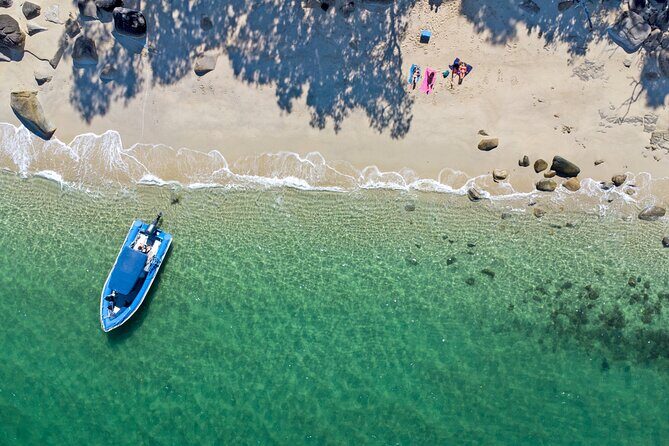 Tropical Dunk Island Half Day Activity from Mission Beach - Key Points  
