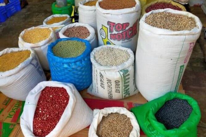 Tropical Escape Tour - An Honest Look at the Tropical Escape Tour