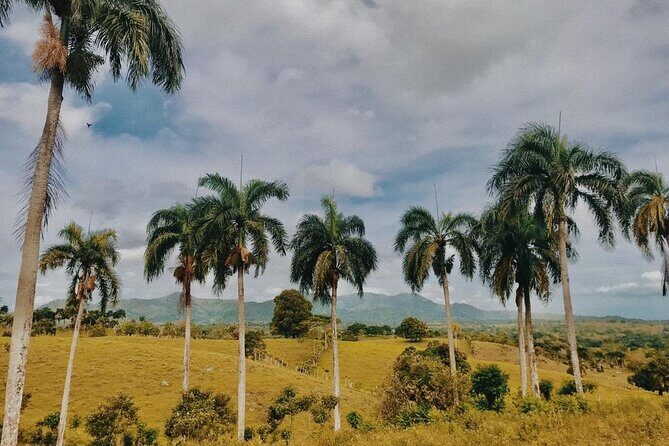 Tropical Escape Tour - Final Thoughts