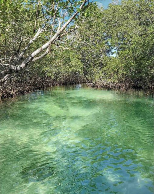 Tropical Hideaway: Catamaran Escape to Cayo Arenas - Luxury Catamaran Cruise Experience