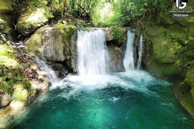 Tropical Lifestyle Puerto Plata - Private Transfer - An Honest Look at the Service