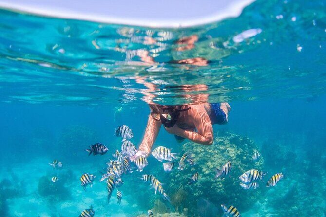 Tropical Punta Cana Booze Cruise Snorkel, Sandbar & Party Vibes - Value for Money