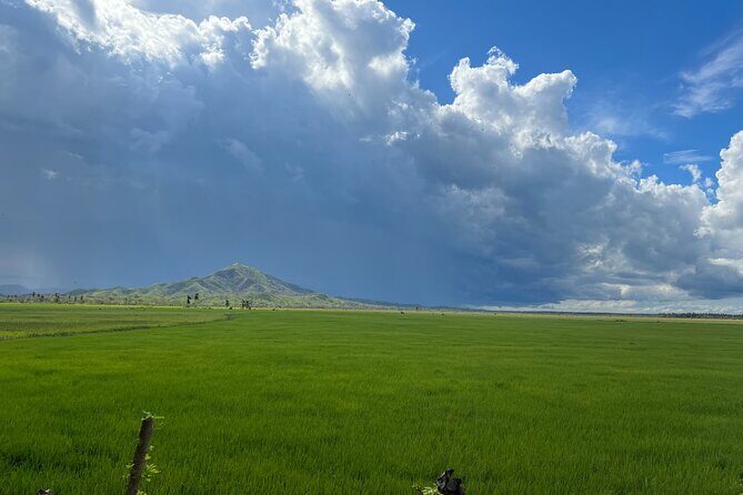 Tropical Quads (2 PERSONS PER QUADS ) - Who Will Love This Tour?