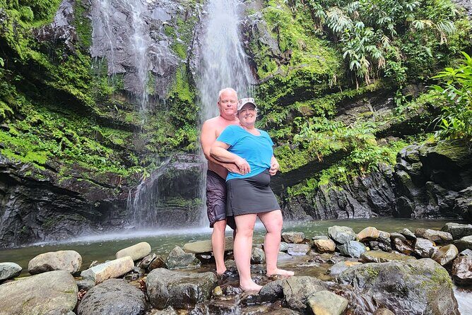 Tropical Rainforest Wonders Full Day Experience from San Juan - Key Points