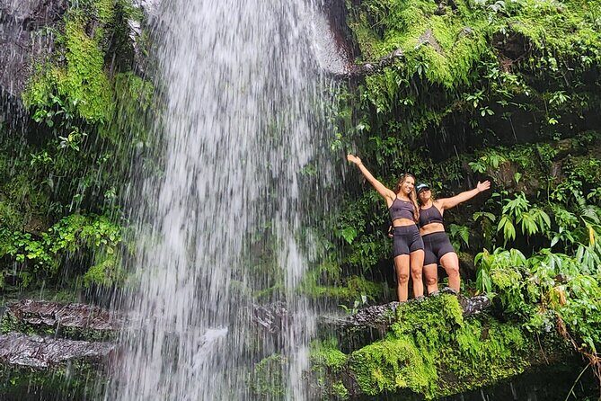 Tropical Rainforest Wonders Full Day Experience from San Juan - Who Should Consider This Tour?