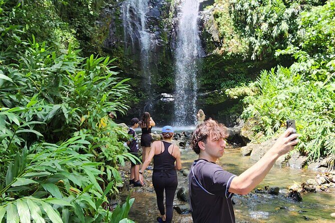 Tropical Rainforest Wonders Full Day Experience from San Juan - FAQs