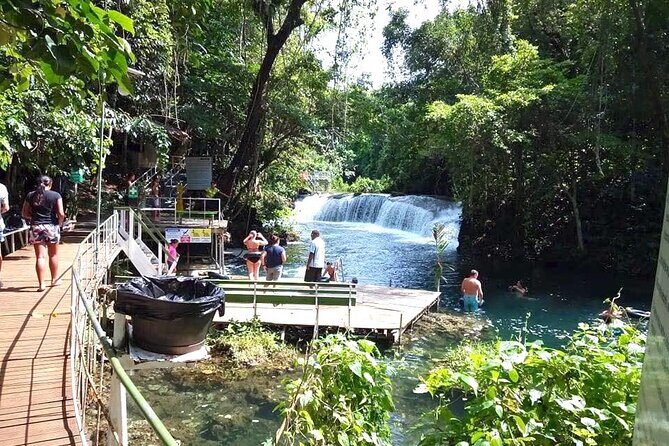 Tropical Splash Tour - What the Reviews Say