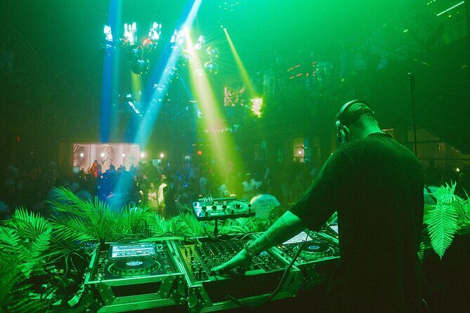 Tropicalia Disco  Party Night  Nightclub - Key Points