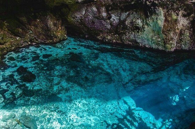 TRS Turquesa- Round Trip Shuttle - Punta Cana Airport - Who Should Consider This Transfer?  