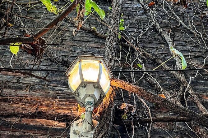 True Crime Walking Tour in Soulard Neighborhood - Good To Know