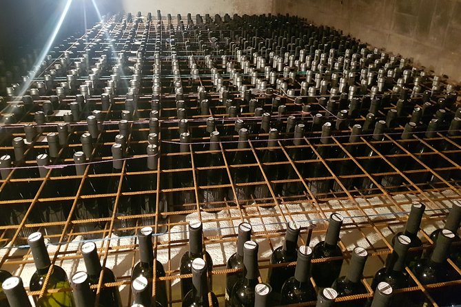 Truffle and Wine / Taste of Istra From Porec, Umag - Highlights of the Tour