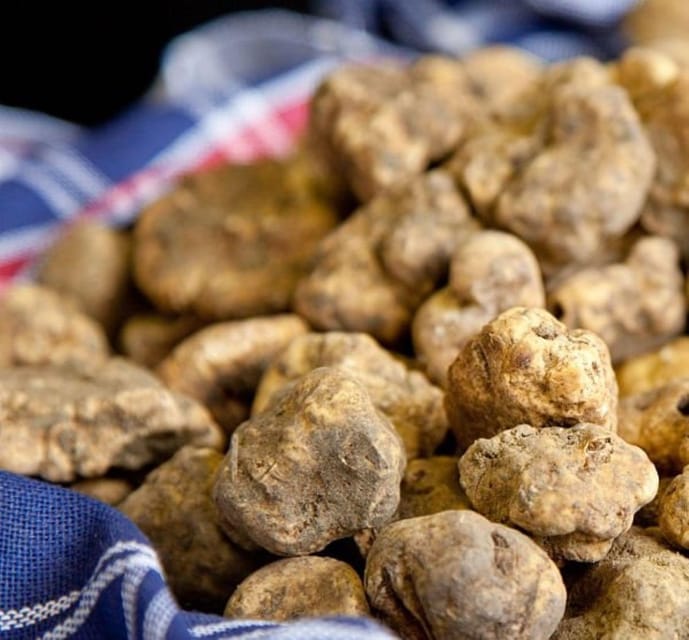 Truffle experience from Naples and Salerno - An In-Depth Look at the Truffle Experience Tour
