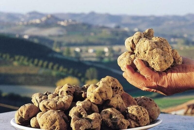 Truffle experience from Naples and Salerno - Who Will Love This Experience?