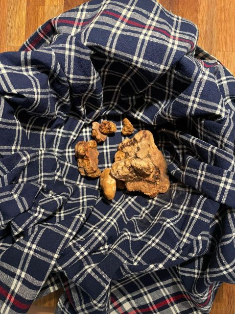 Truffle Experience & Wine Brunch in the Cellar - Booking Information