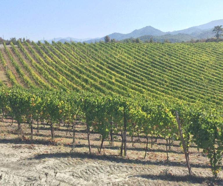 Truffle Experience & Wine Brunch in the Cellar - Frequently Asked Questions