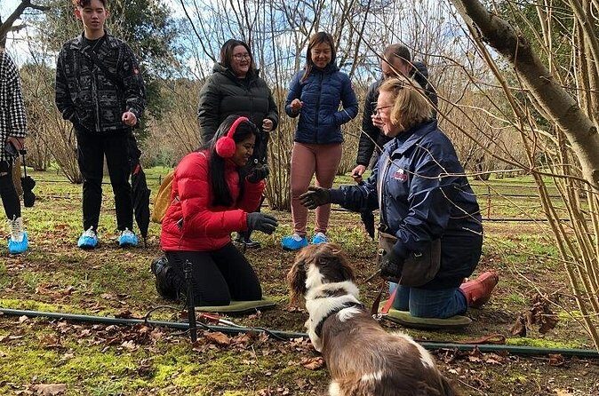 Truffle Hunt and Truffle Pizza Experience in Red Hill - What the Reviews Reveal