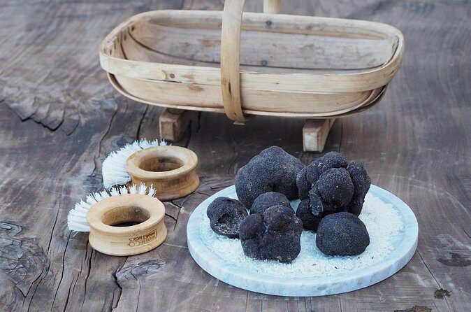 Truffle Hunt and Truffle Pizza Experience in Red Hill - The Sum Up