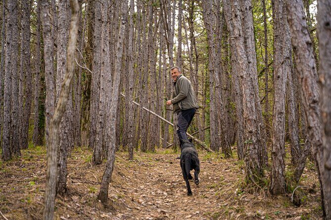 Truffle Hunting and 3-course Truffle Brunch in Motovun - Truffle Hunting and 3-course Truffle Brunch in Motovun: A Deep Dive into Istria’s Culinary Treasure