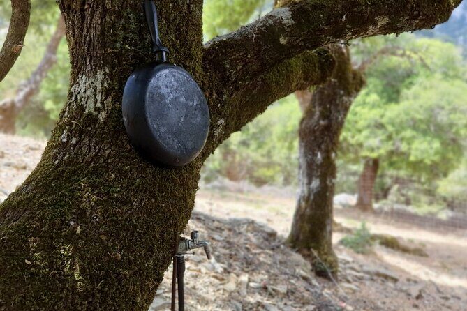 Truffle Hunting, Culinary & Wine Celebration from Elounda - Transportation and Comfort