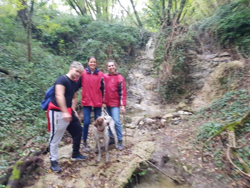 Truffle Hunting: Experience as a Truffle Hunter for a Day - Experience Details