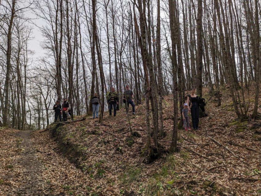 Truffle Hunting Experience Near Parma With Our Dogs - Indulge in Fresh Truffle Tasting Experience