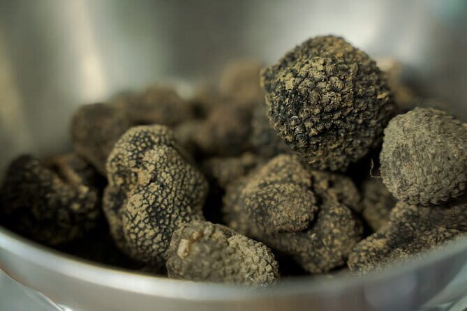 Truffle hunting + gourmet tasting (transfer included) - Additional Logistics and Practical Details