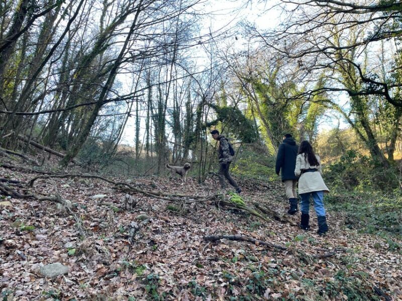 Truffle hunting in Chianti with pasta cooking class & lunch - The Experience’s Highlights and Considerations