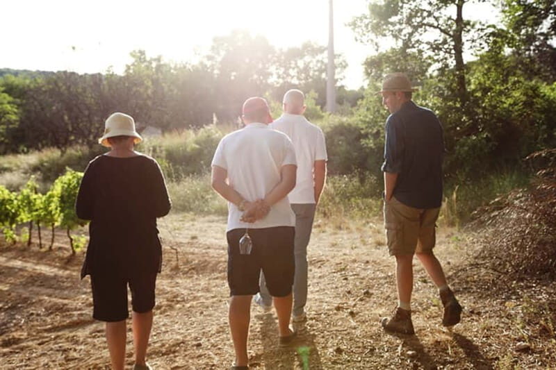 Truffle Hunting in Provence - Key Points