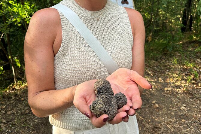 Truffle Hunting in San Gimignano - FAQ