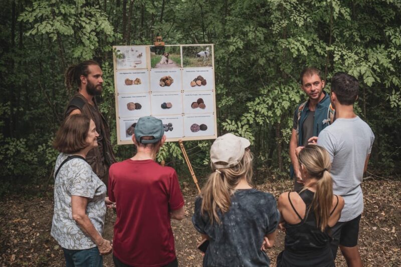 Truffle Hunting in San Gimignano - Key Points