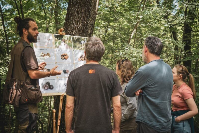 Truffle Hunting in San Gimignano - Authenticity and Customer Feedback