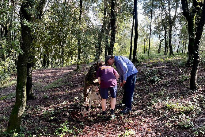 Truffle Hunting in San Miniato in Tuscany with Tasting - The Sum Up