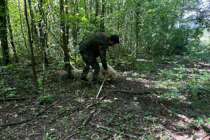 Truffle Hunting in San Miniato in Tuscany with Tasting - FAQs