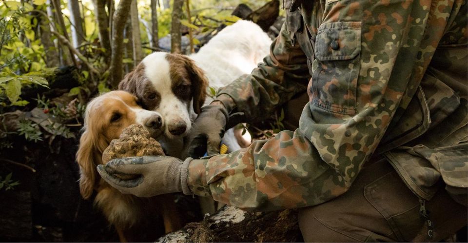 Truffle Hunting in Tuscany With Lunch in the Cellar - Truffle Hunting Experience