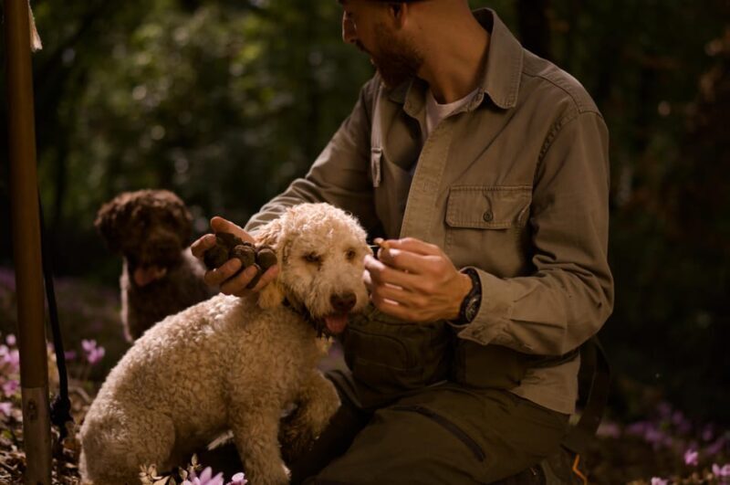 Truffle Hunting, Lunch & Cooking Class in Rome's Countryside - Discovering the Experience: A Complete Breakdown