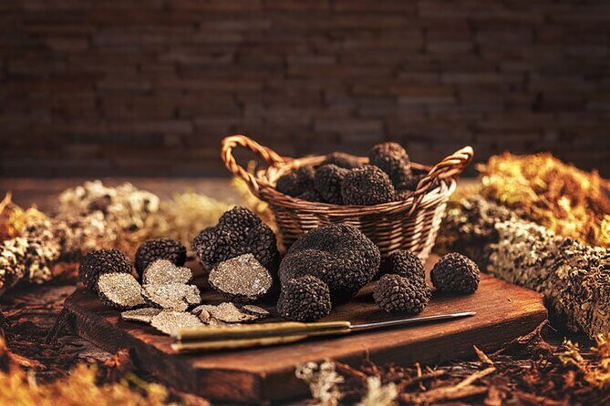 Truffle hunting tour from Rijeka - The Sum Up